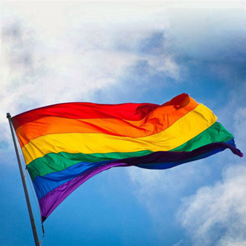 Gay Pride LGBT Flag Polyester Colorful Rainbow Flag  90x150cm