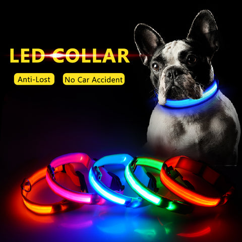 USB Charging Led Dog Collar Anti-Lost/Avoid Car Accident Collar For Dogs