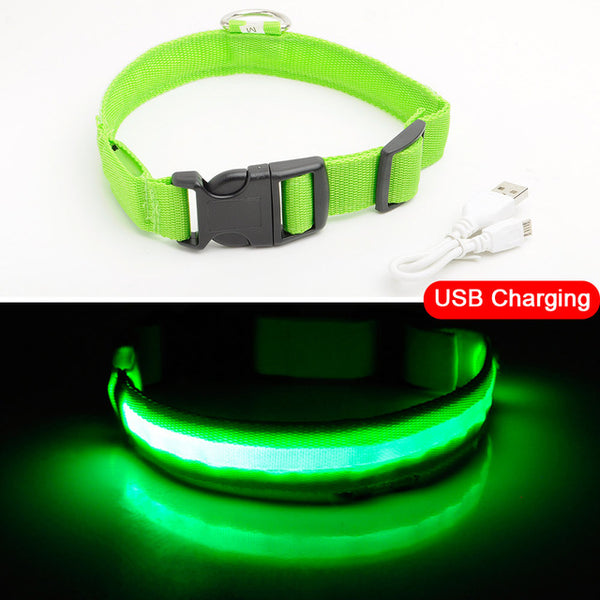 USB Charging Led Dog Collar Anti-Lost/Avoid Car Accident Collar For Dogs
